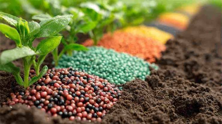 Modern fertilizers and conditioners